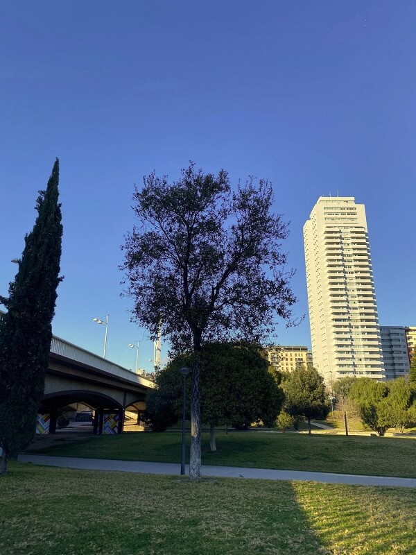 torre francia valencia